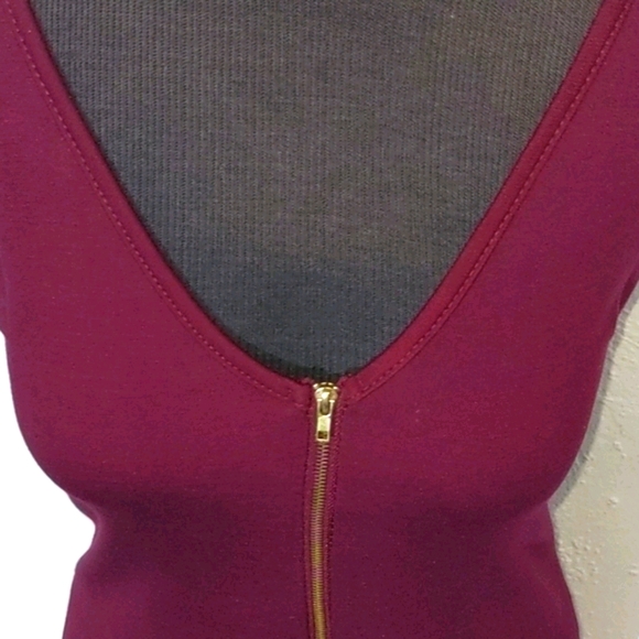 ⬇️Minette Burgundy Sleeveless Dress - Picture 3 of 6